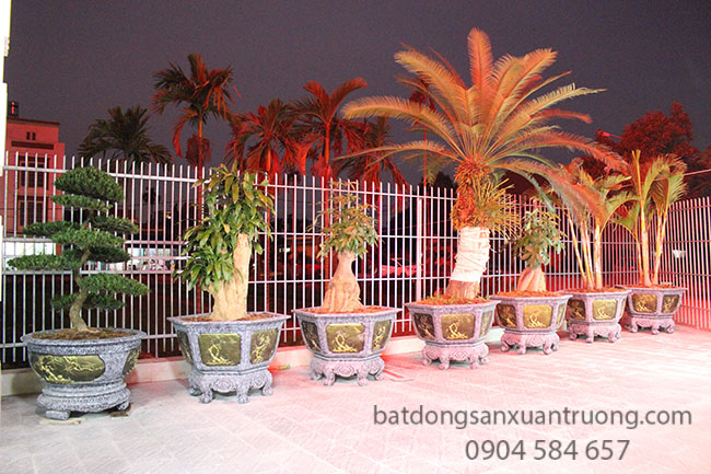 Bán nhà mặt đường Mai Trung Thứ